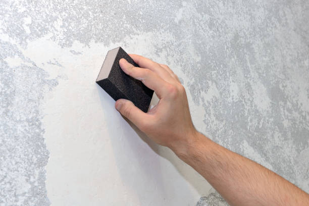  Brighton, CO Mold Removal Pros