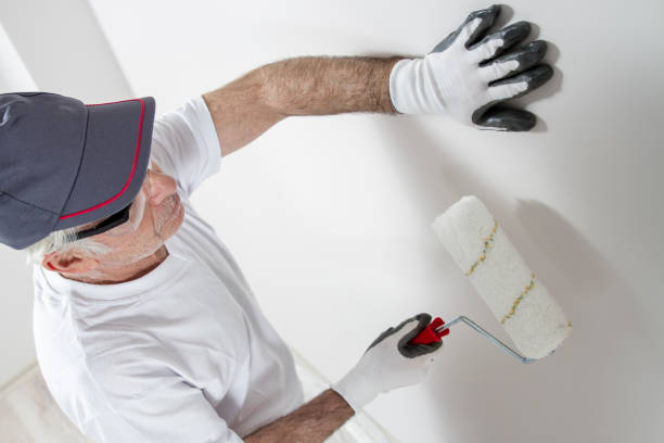 Best Biohazard Mold Removal  in Brighton, CO