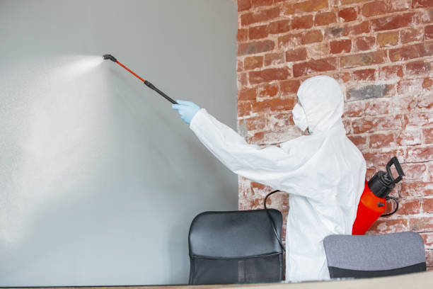 Mold Documentation for Insurance Claims in Brighton, CO