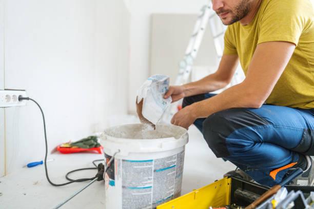 Professional Mold Removal in Brighton, CO