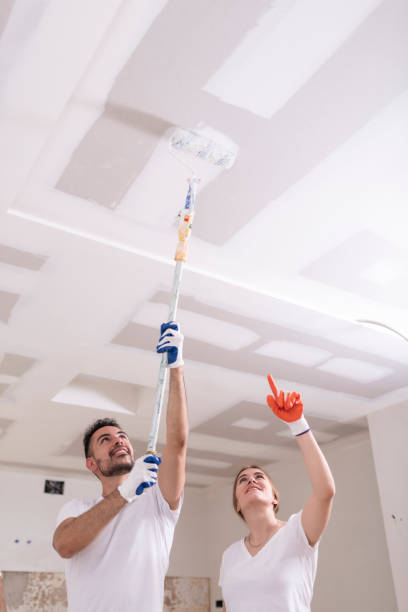 Best Attic Mold Removal  in Brighton, CO