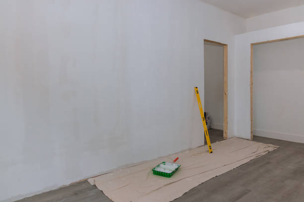 Best Mold-Related Health Consultation  in Brighton, CO