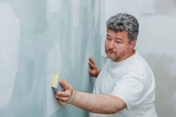 Best Mold Remediation for Healthcare Facilities  in Brighton, CO