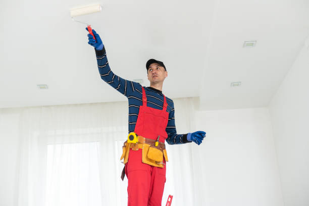 Best Environmental Consulting for Mold Prevention  in Brighton, CO