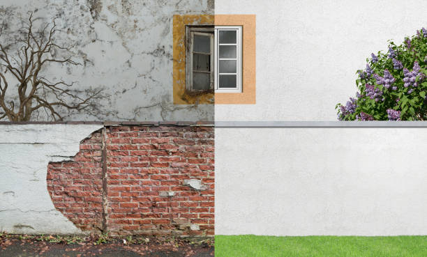 Best Mold Odor Removal Services  in Brighton, CO