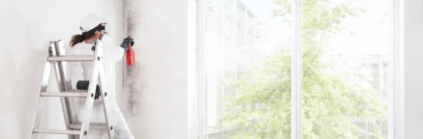 Best Commercial Mold Inspection  in Brighton, CO